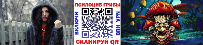 Купить закладки  Меленки  Псилоцибиновые грибы мицелий 